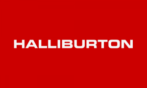 Top 100 company logo