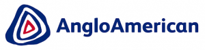 Top 100 company logo