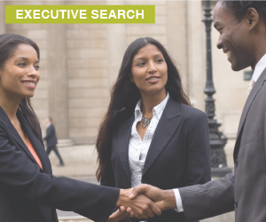 Executive job search in south africa