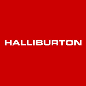 Top 100 company logo