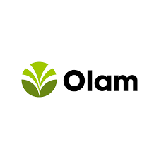 olam 2